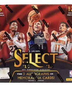 2018/19 Panini Select Basketball Hobby Box