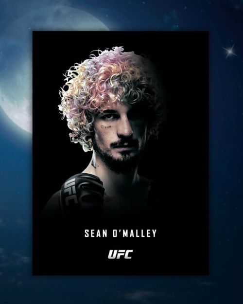 2024 Topps Midnight UFC Hobby Box - Image 11