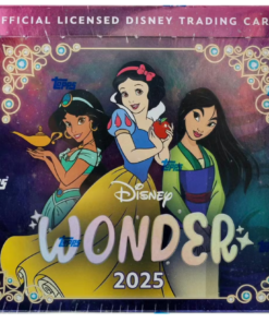 2025 Disney Wonder Hobby Box