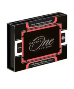 2025 Panini One and One WNBA Basketball Hobby 10 Box Case